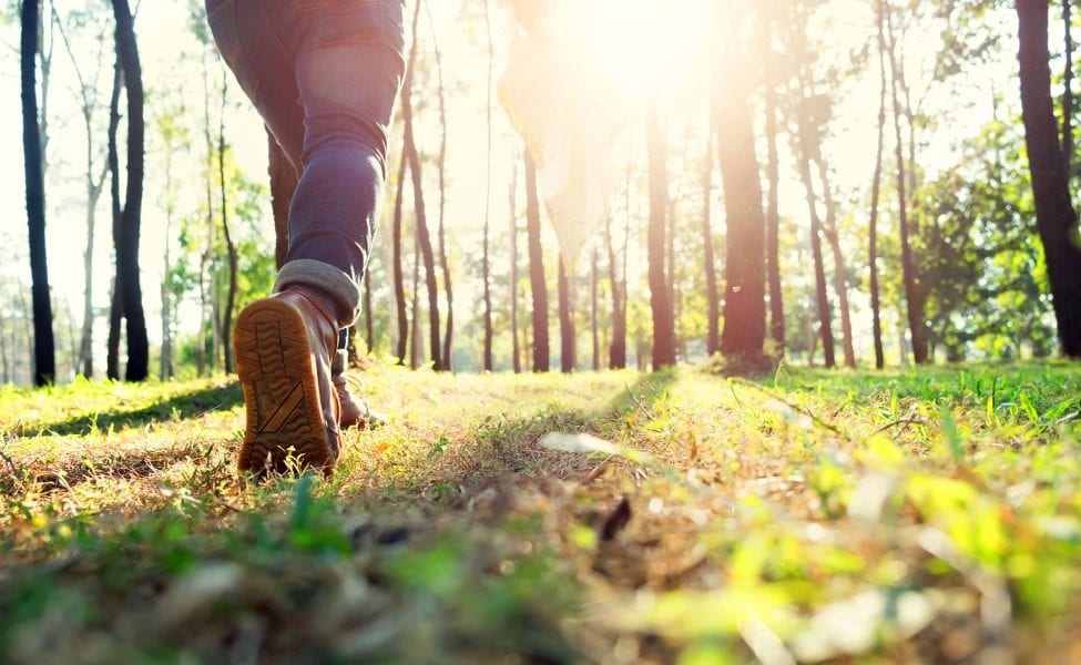 Lower level at Blue Hills Recovery's Facility